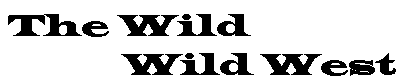 The Wild Wild West